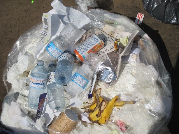 Waste Composition during a waste audit for a client
