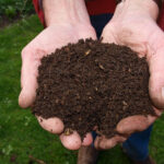 Benefits of Composting for The Environment