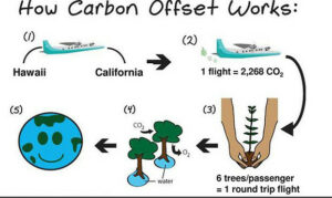 Image of how carbon offset works